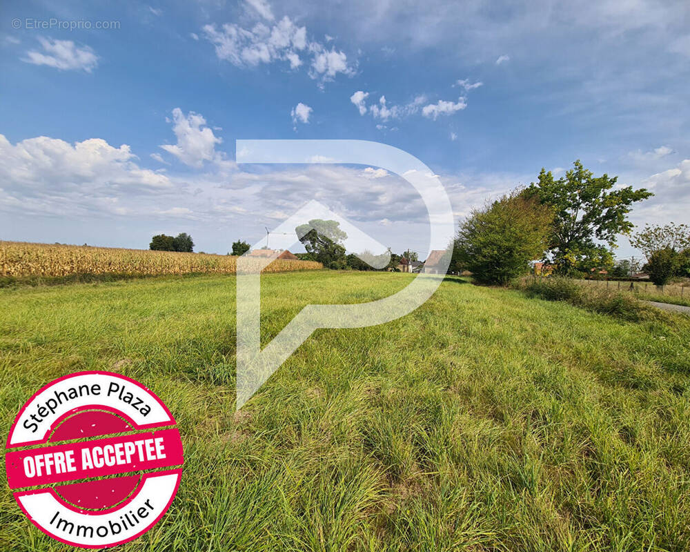 Terrain à HAGETAUBIN