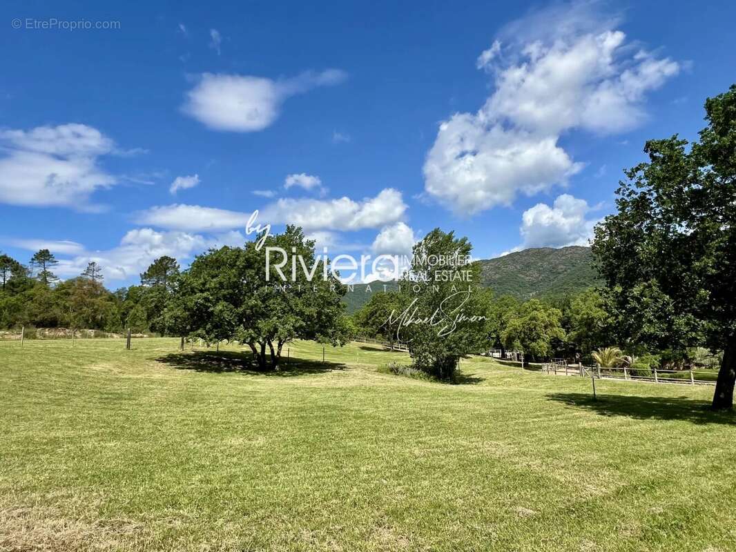 Maison à LE LAVANDOU