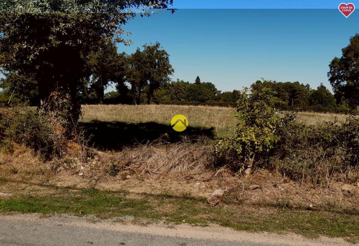 Terrain à SAINT-MARTINIEN