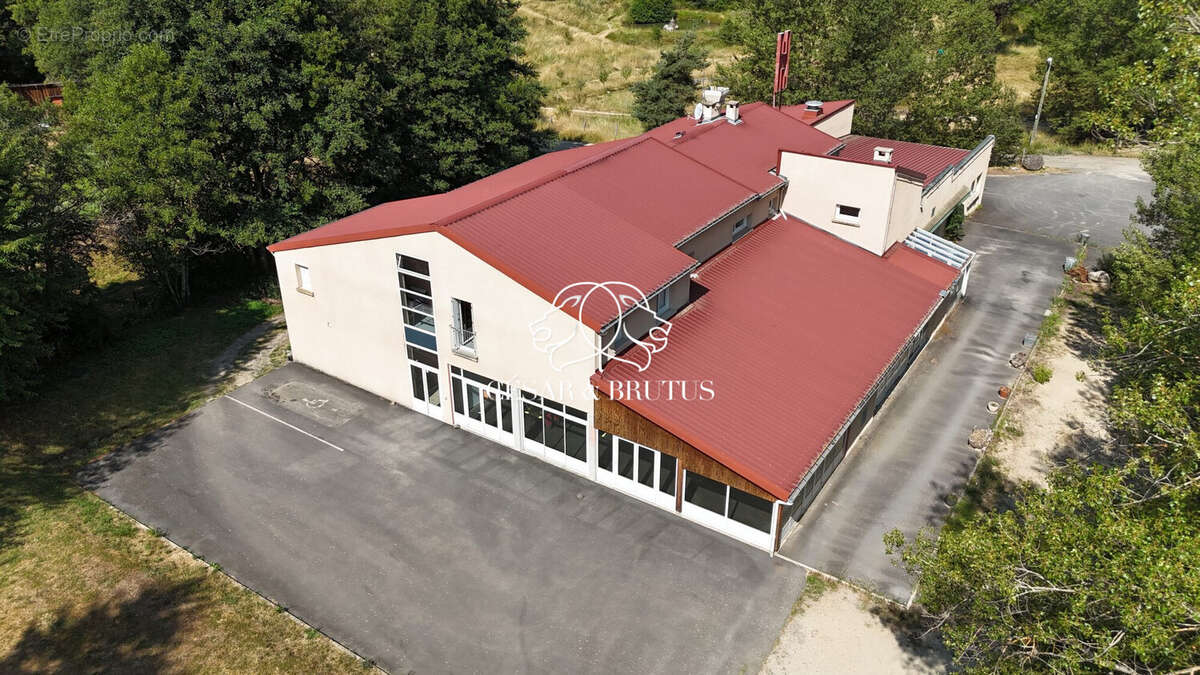 Maison 1023 m² à Le Monastier-Sur-Gazeille  - photo 3