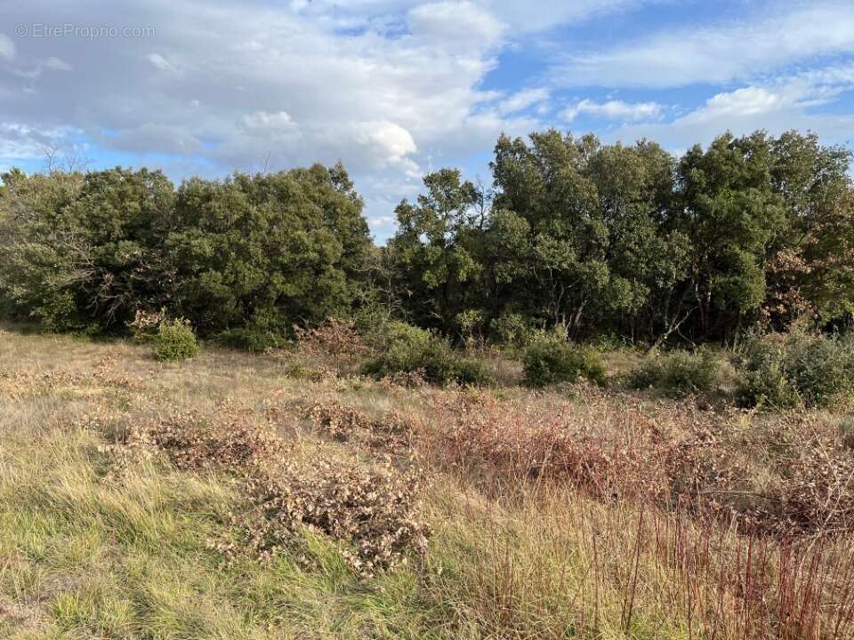 Terrain à GRIGNAN