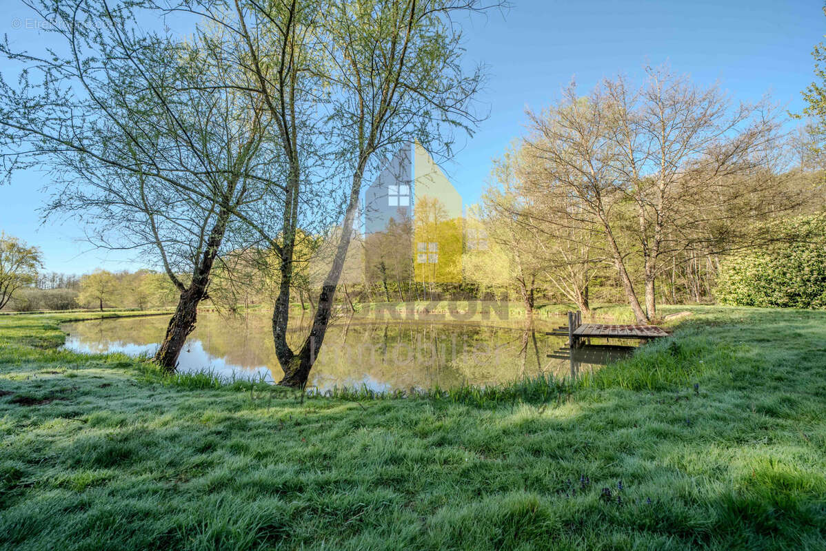 Terrain à SAILLENARD