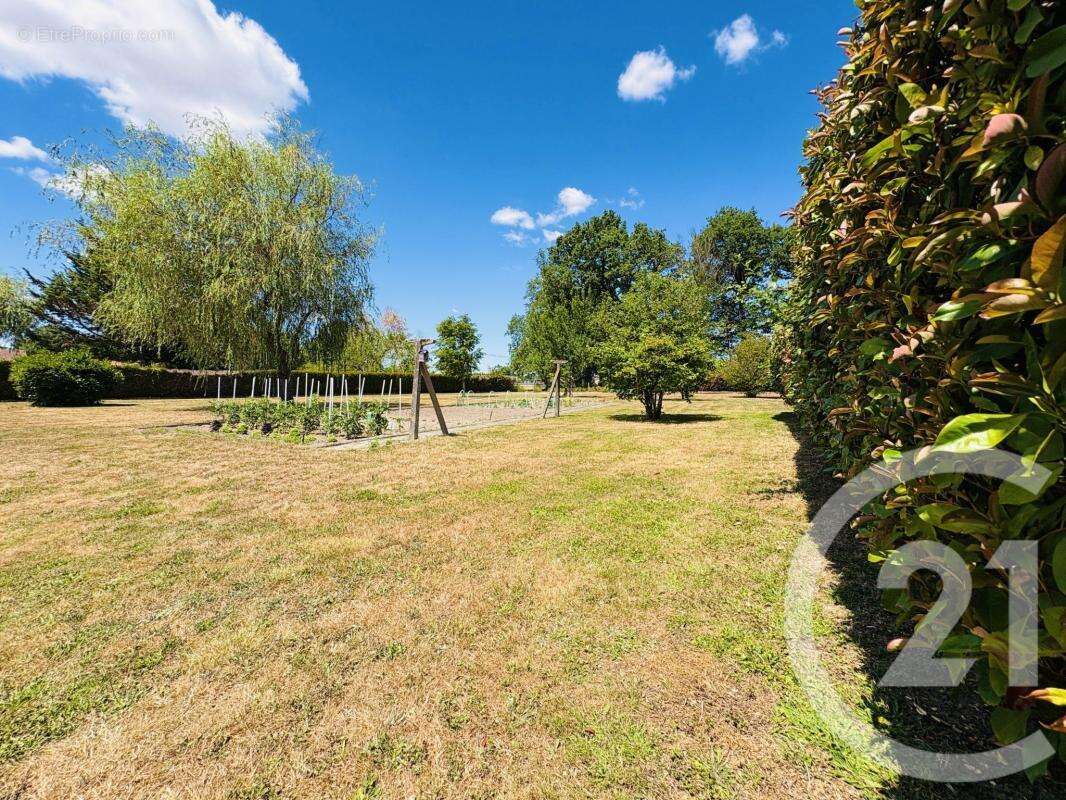 Maison 155 m² à Peyrat-De-Bellac  - photo 43