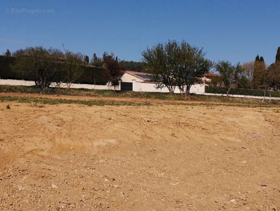 Terrain à SAINT-UZE