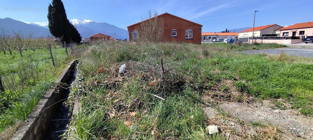 Terrain constructible 4 faces 278m² - photo 2