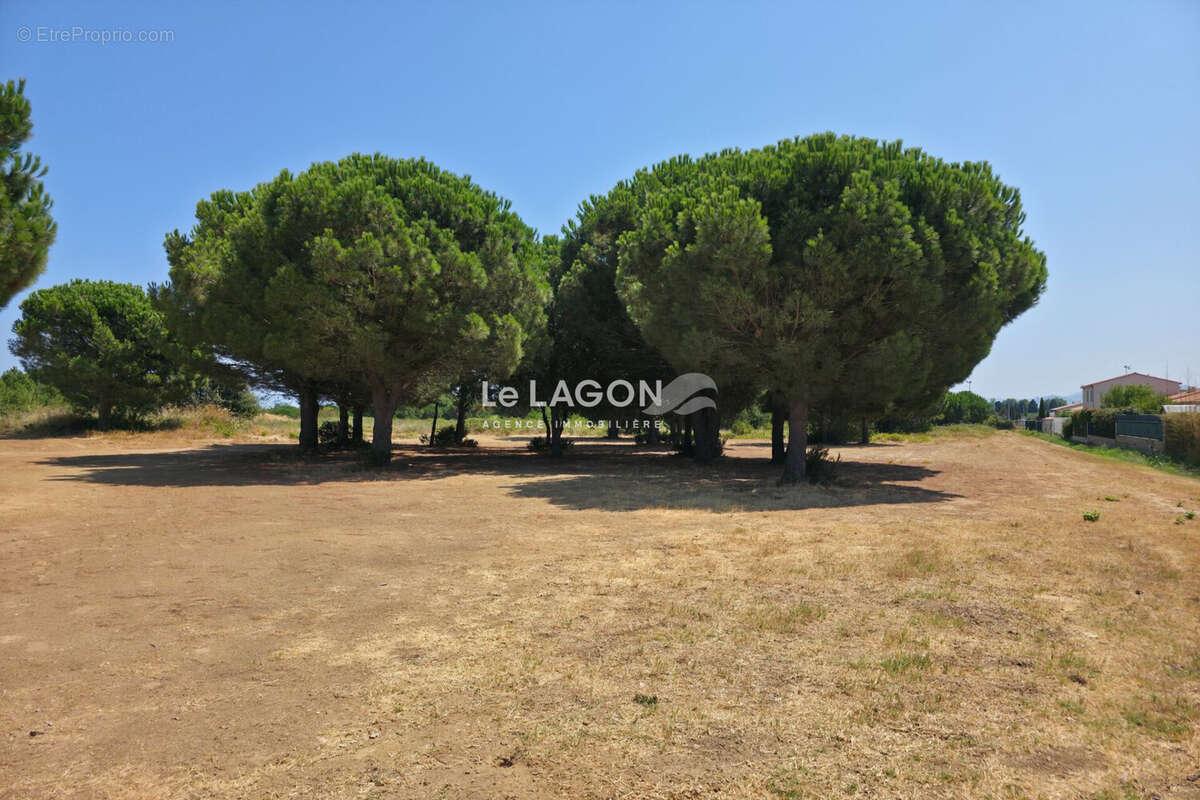 Terrain 449 m² à Latour-Bas-Elne  - photo 2