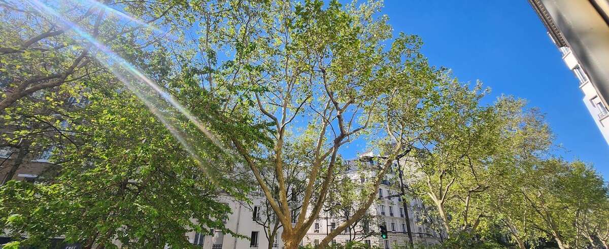 Appartement 79 m² à Paris-19e  - photo 5