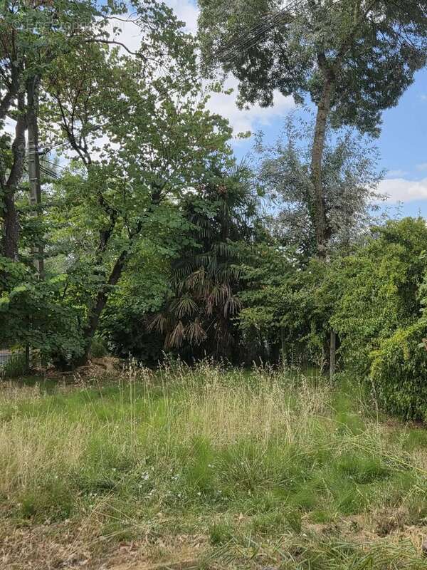 Maison avec jardin Gaillac centre - photo 3