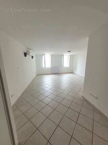 Toulon siblas - photo 4