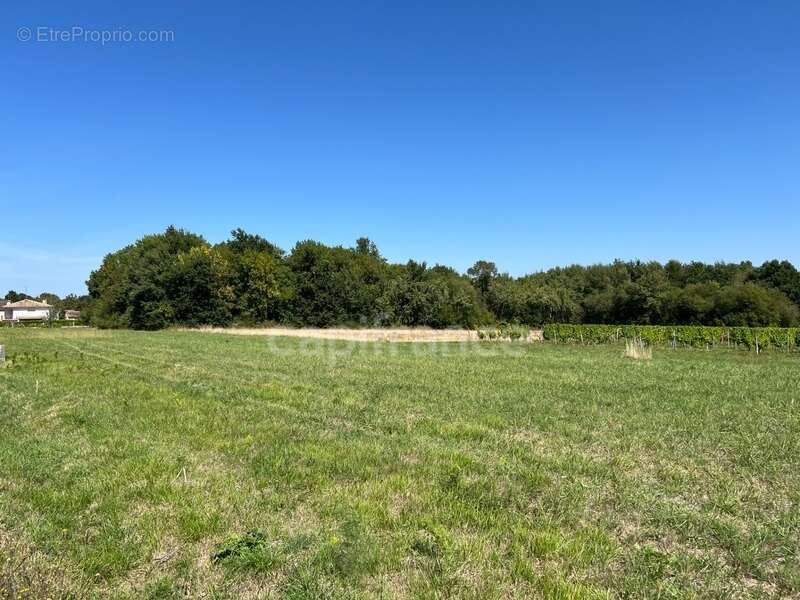Terrain à SAINT-PALAIS-DE-NEGRIGNAC