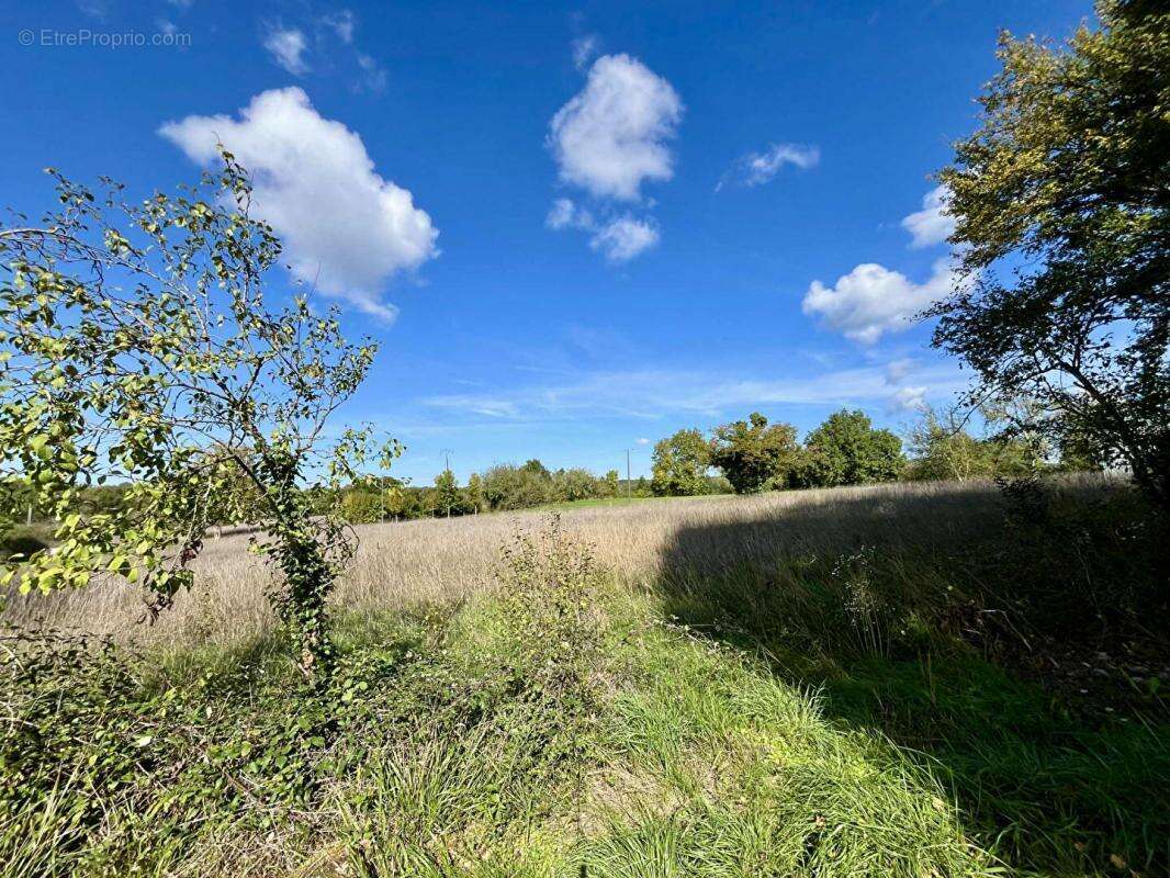 Terrain à BOURDEILLES