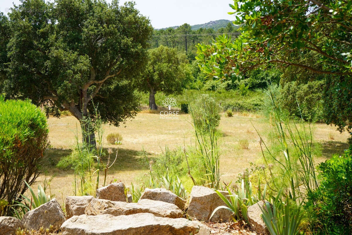 Maison de charme au calme proche de Porto-Vecchio - photo 24