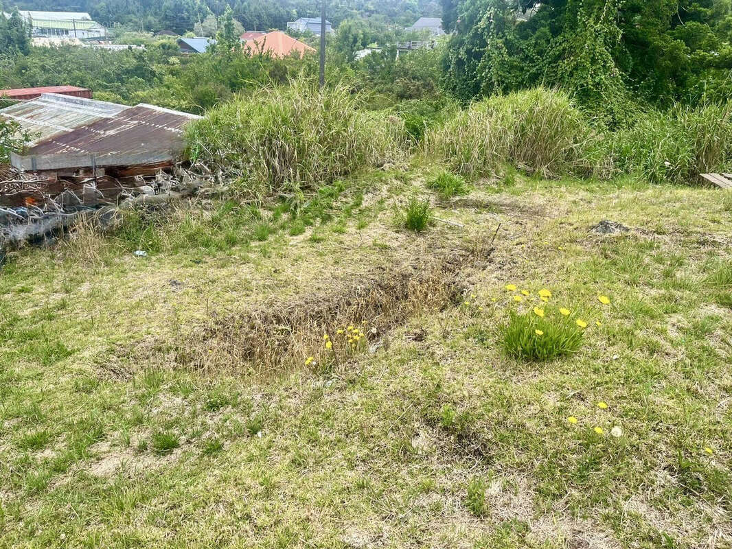 Terrain à SAINT-PIERRE