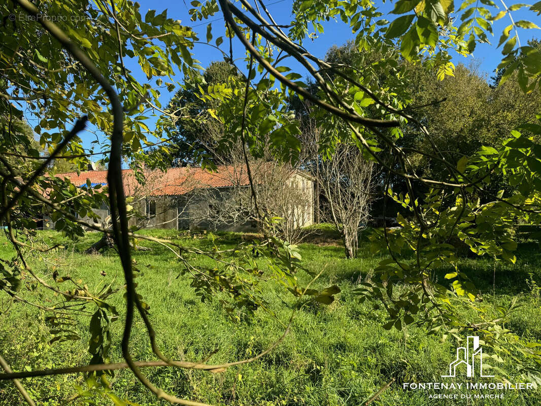 Maison à THOUARSAIS-BOUILDROUX