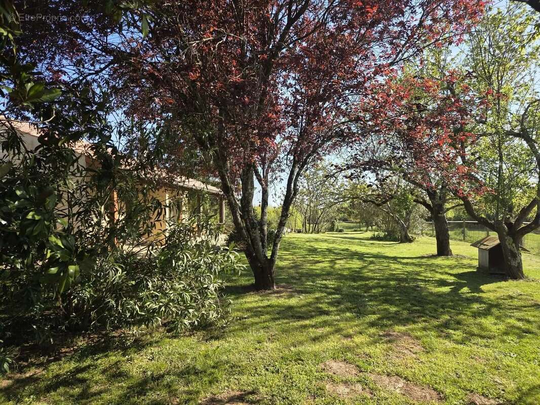 Maison avec grand jardin - photo 4