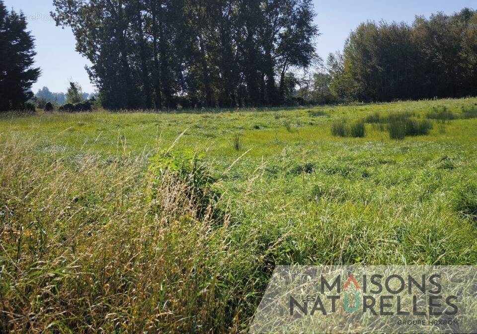 Terrain à CAMPAGNE-LES-HESDIN
