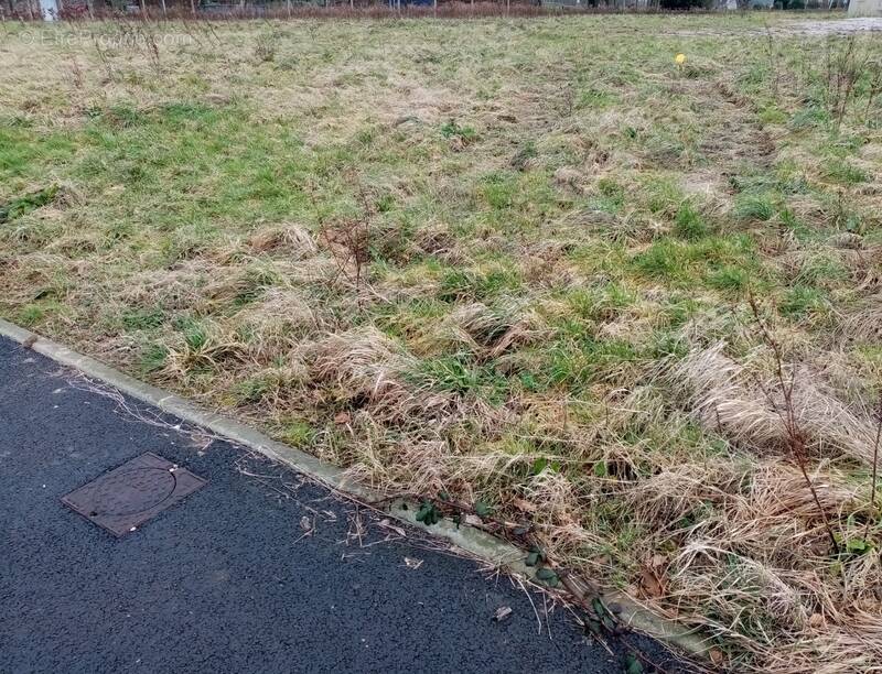 Terrain à FAUVILLE-EN-CAUX