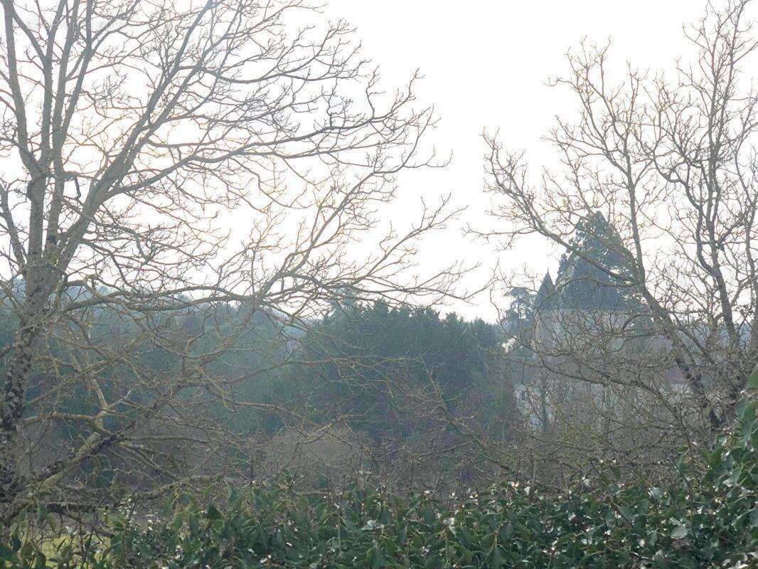 Terrain à MIGNE-AUXANCES