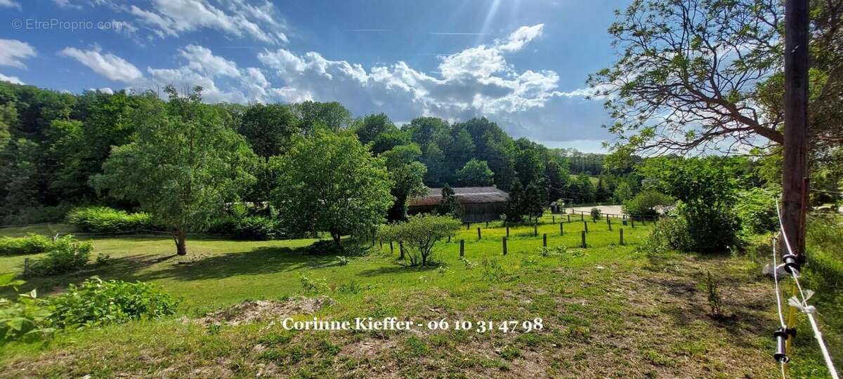 Maison à BETHEMONT-LA-FORET