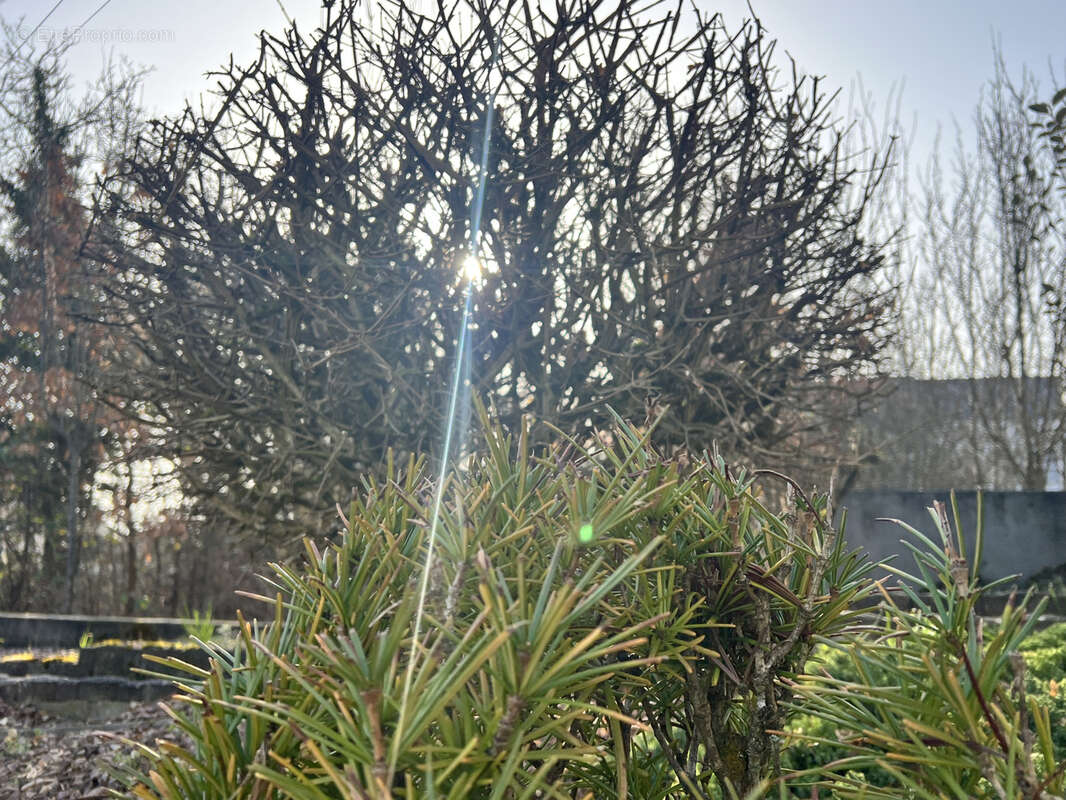 Maison à SAINT-LOUIS