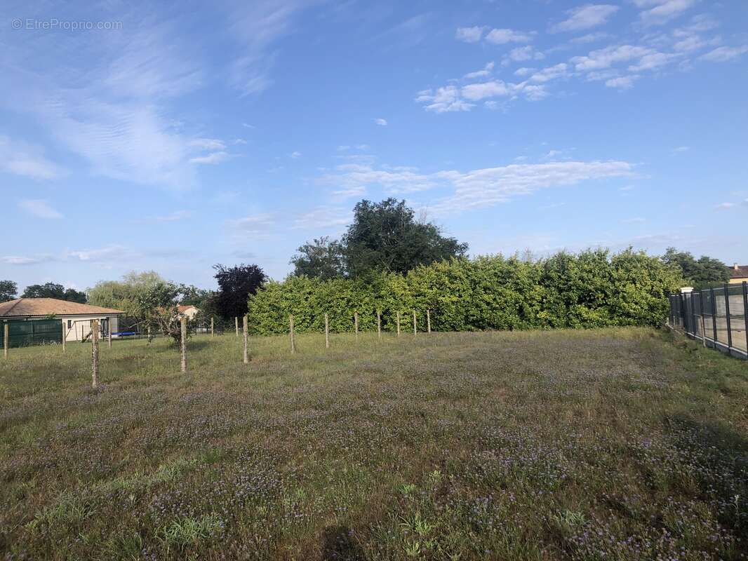 Terrain à AMBARES-ET-LAGRAVE