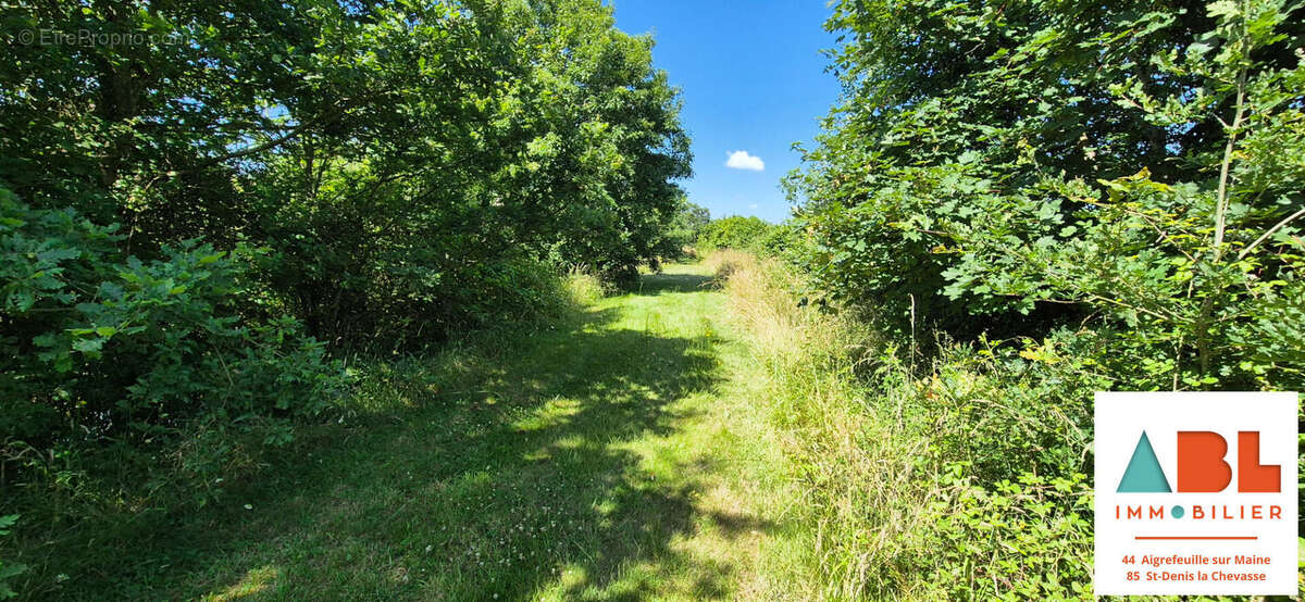 Terrain avec étang et grange en pierre à réhabiliter - un projet unique à imaginer ! - photo 4