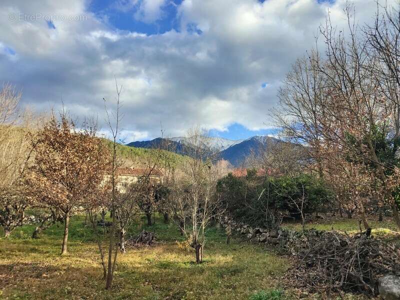 Terrain à CORNEILLA-DE-CONFLENT