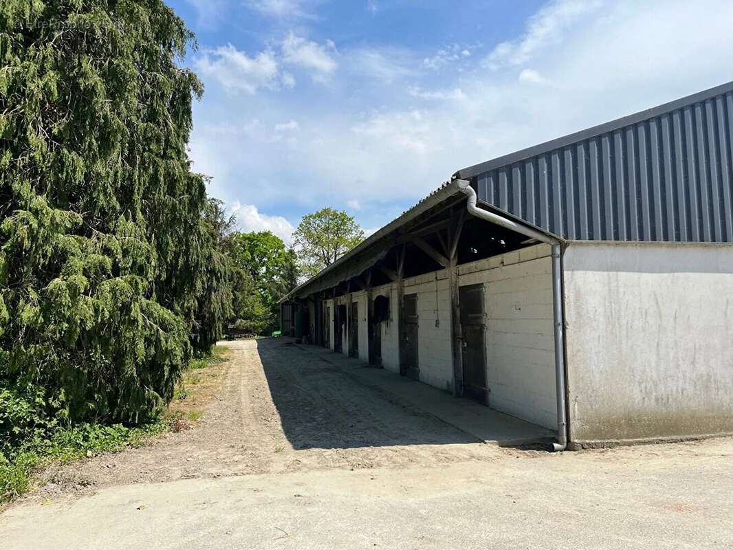 Maison à SAINT-BRANDAN