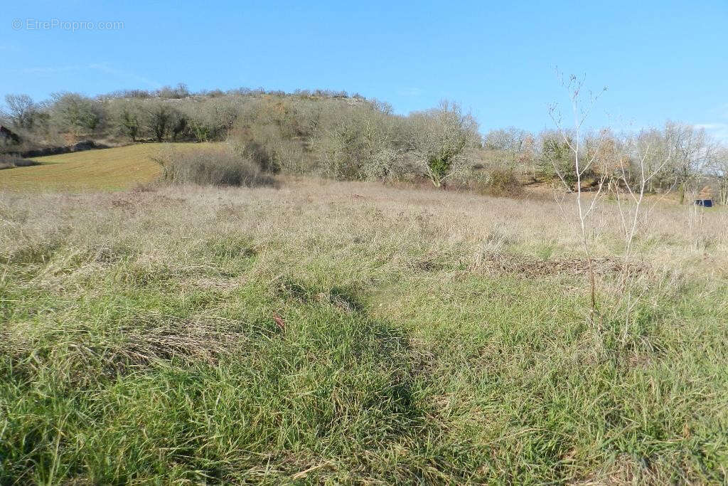 Terrain à bâtir - photo 3