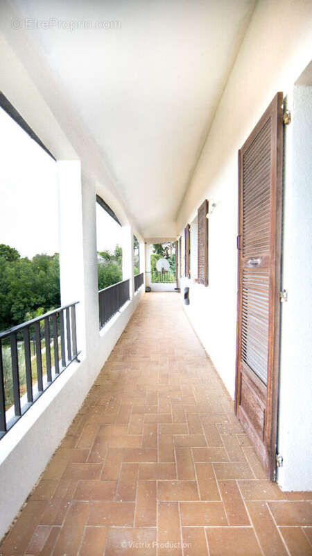 Maison à SAN-NICOLAO