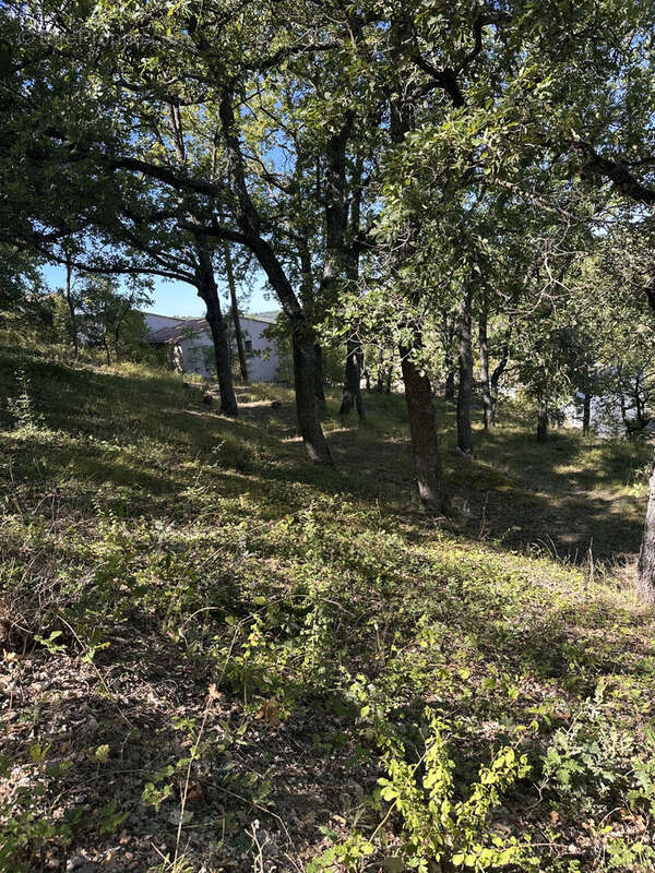 Terrain à MONTAGNAC-MONTPEZAT