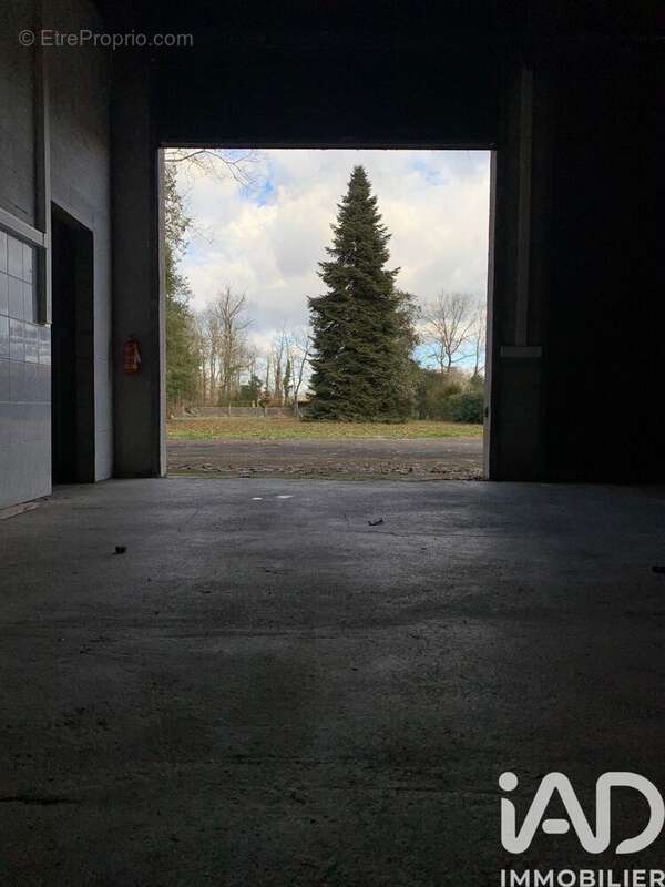 Photo 4 - Appartement à MAGESCQ