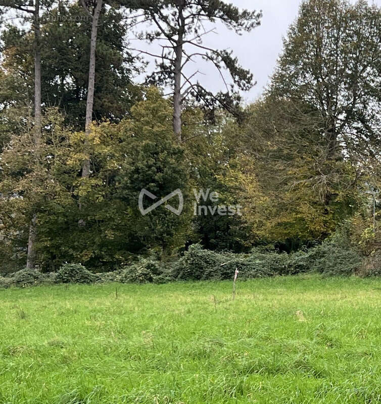 Terrain à BAILLY-ROMAINVILLIERS