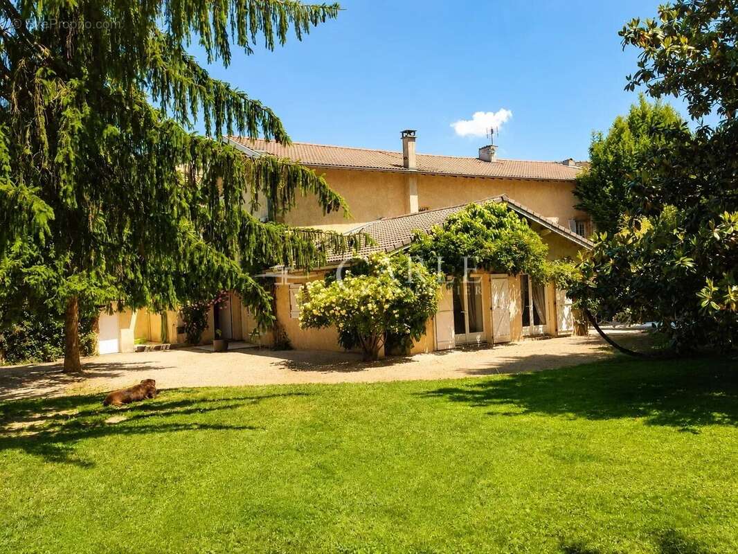 Maison à LOYETTES
