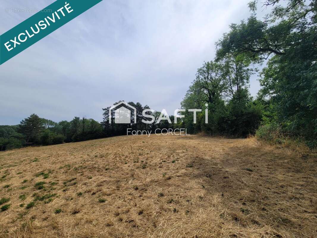 Terrain 12037 m² à Salives  - photo 5