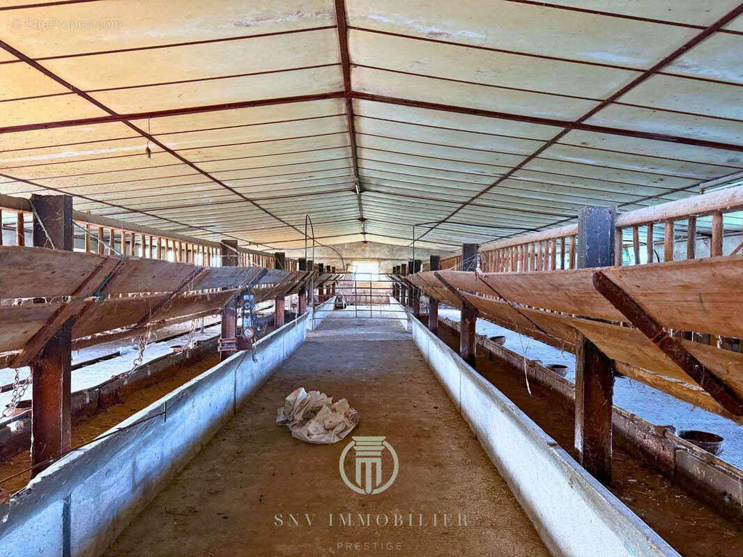 Maison à BOURG-LE-COMTE