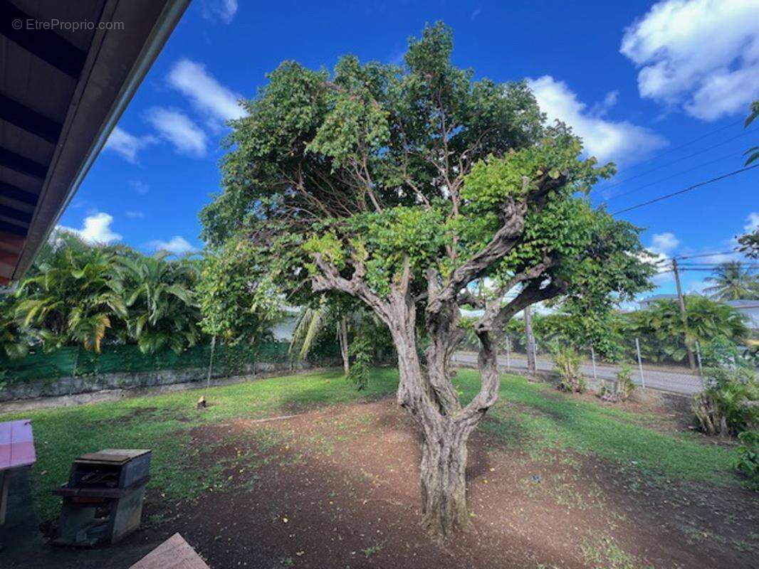 Maison à LE LAMENTIN
