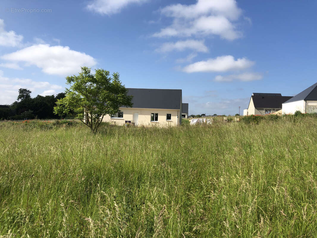 Terrain à AZAY-SUR-CHER