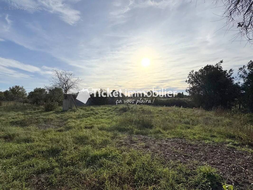 Terrain à MONDONVILLE