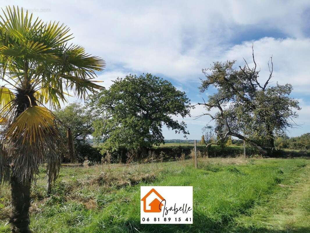 Photo 8 - Maison à VIC-FEZENSAC