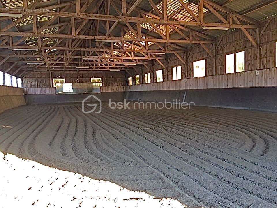 propriété équestre avec gite et maison de maître - photo 12
