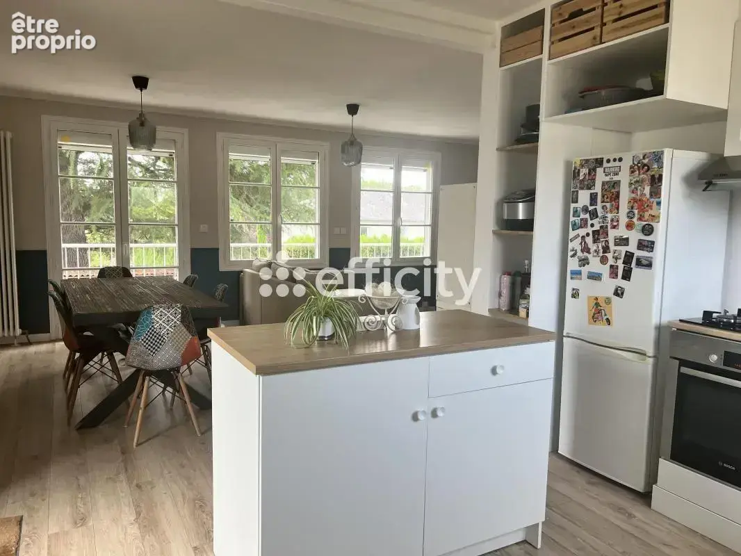 Maison 4 pièces 103 m² à vendre à Saint-Martin-Le-Beau (37270) - photo 4