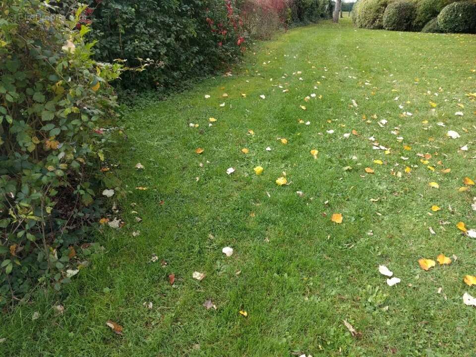 Terrain à COMBS-LA-VILLE