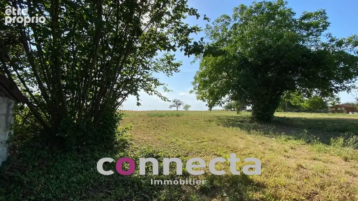 Ensemble immobilier composé de deux maisons - Dépendances - Terres à Faverolles sur cher - photo 17