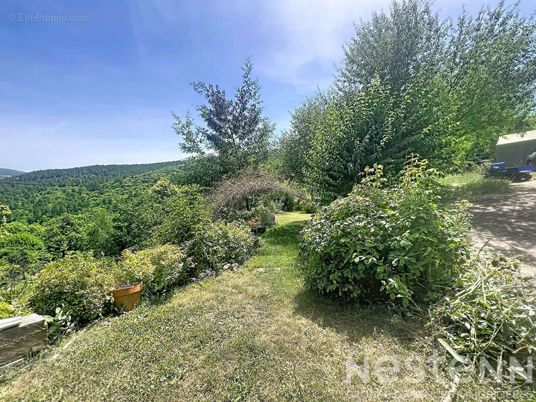 Maison de caractère à Saint-Martin-de-Boubaux ? 150 m², 1,8 ha, dépendance et vue sur les Cévennes - photo 16
