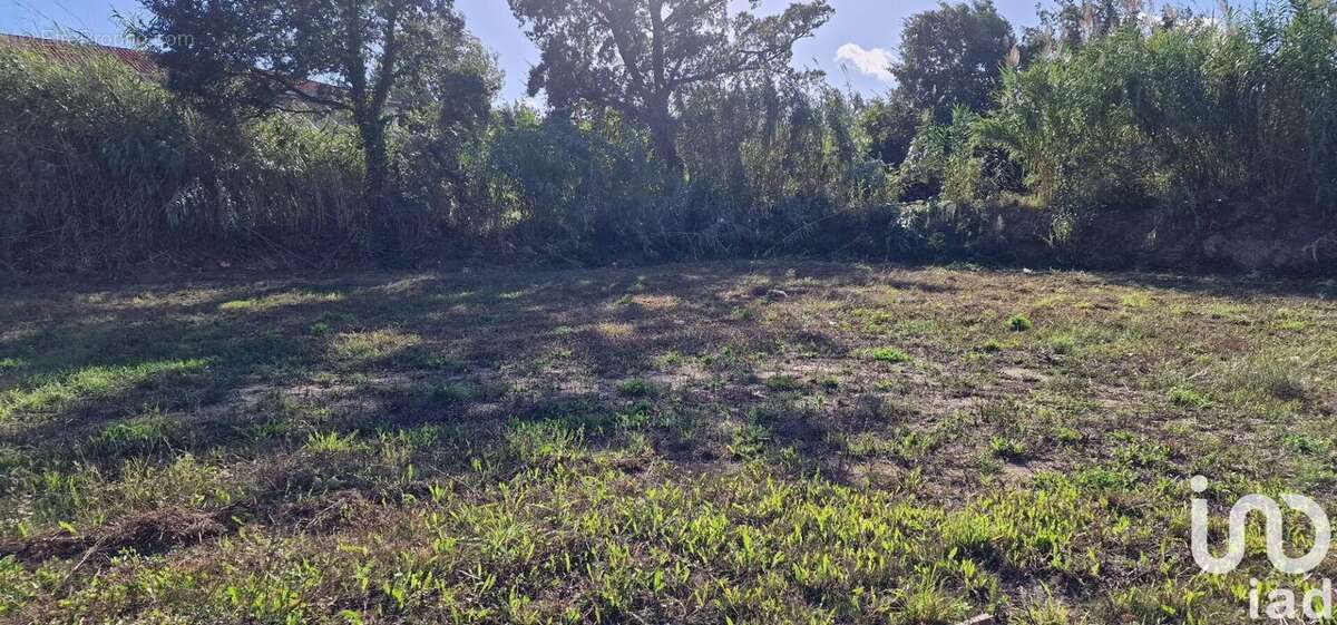 Photo 5 - Terrain à BAHO