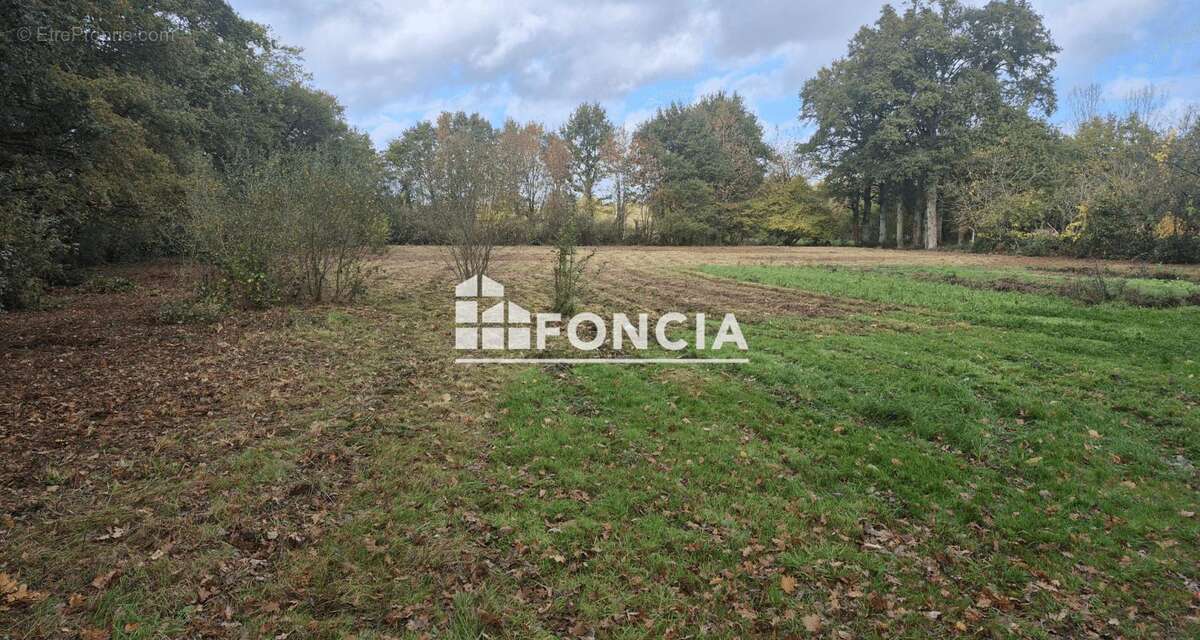 Terrain à NOYAL-CHATILLON-SUR-SEICHE