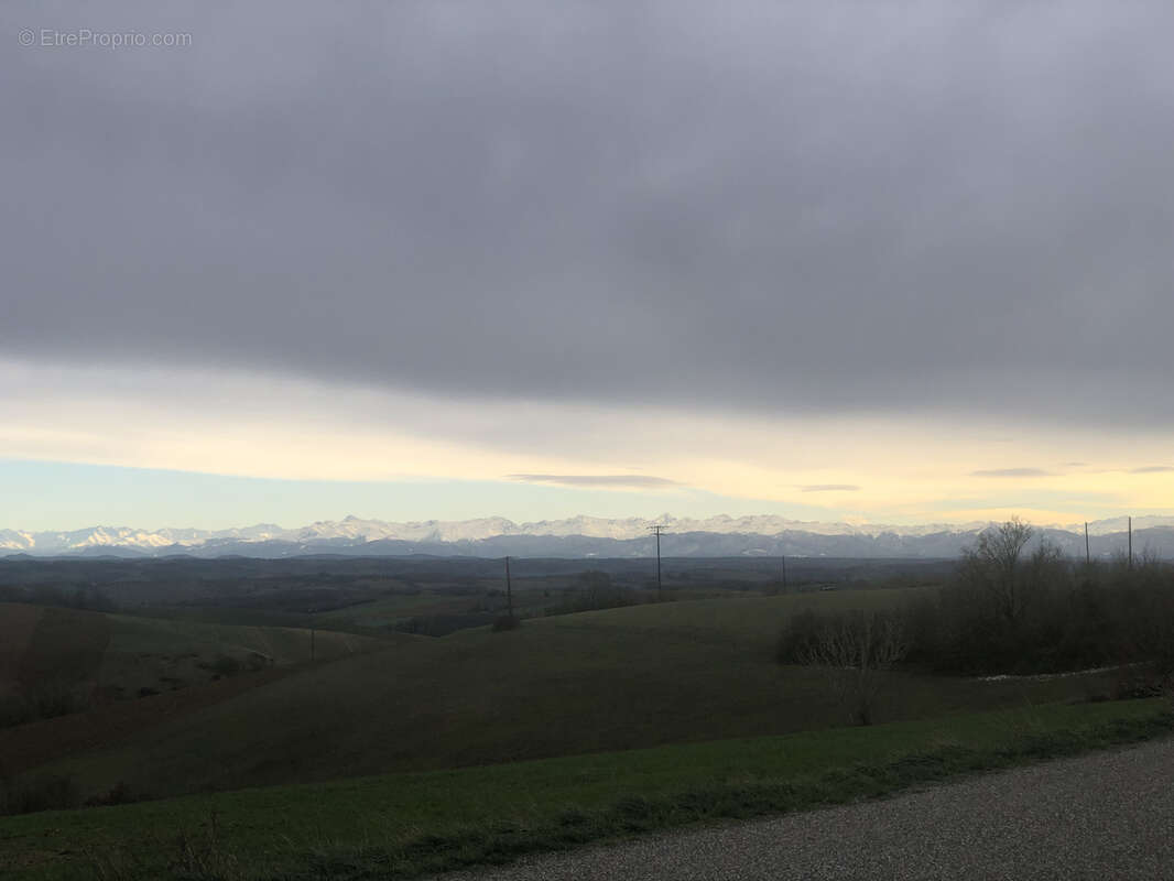 Maison à SAUVETERRE