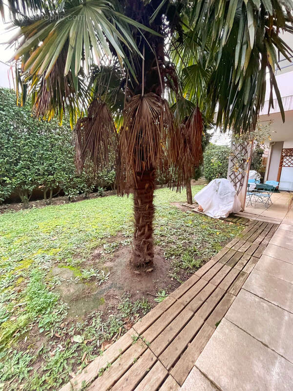 Appartement à VILLEFRANCHE-SUR-SAONE
