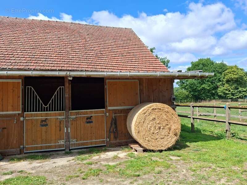 Propriété Corps de Ferme, Bâtisse d'habitation de caractère , nombreuses dependances dont Box, proche ALENCON, LE PERCHE, 2h00 P - photo 13